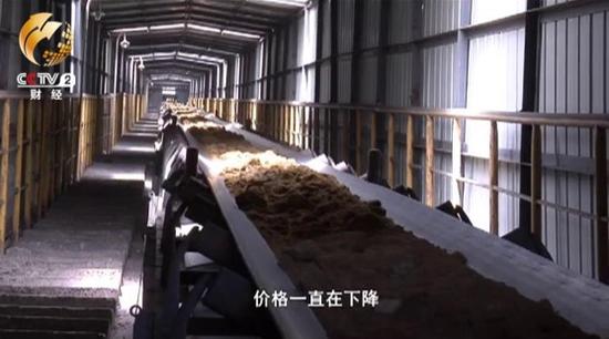 賈光輝就告訴《經濟半小時》記者，日子比3年前更不好過了，價格一直在下降，基本接近成本的臨界線。